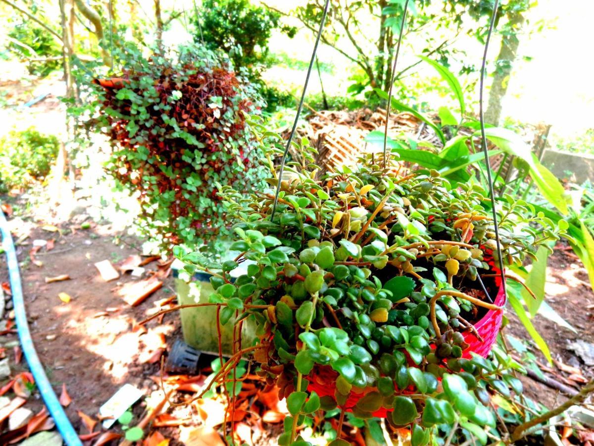 Coco Happy Farm Villa Ben Tre Luaran gambar